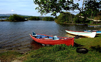 Angeln am Lough Corrib